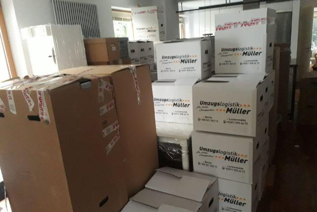 Labor Umzug preise erfahren in Radeburg